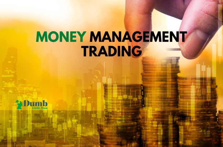  6 Tips and Methods Of Money Management Trading