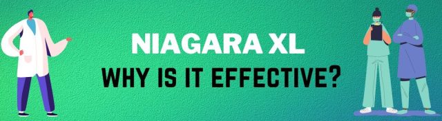 niagara xl reviews