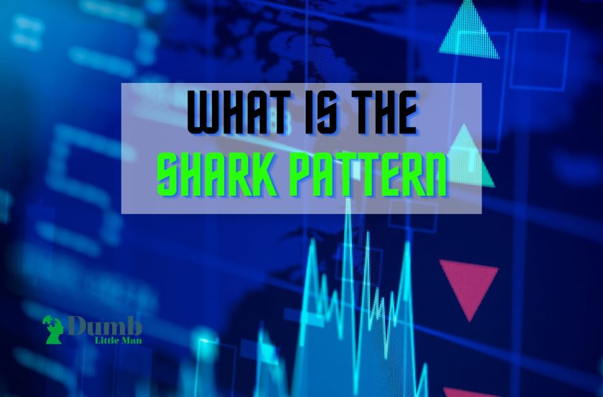  What Is The Shark Pattern – An Expert’s Take 2023