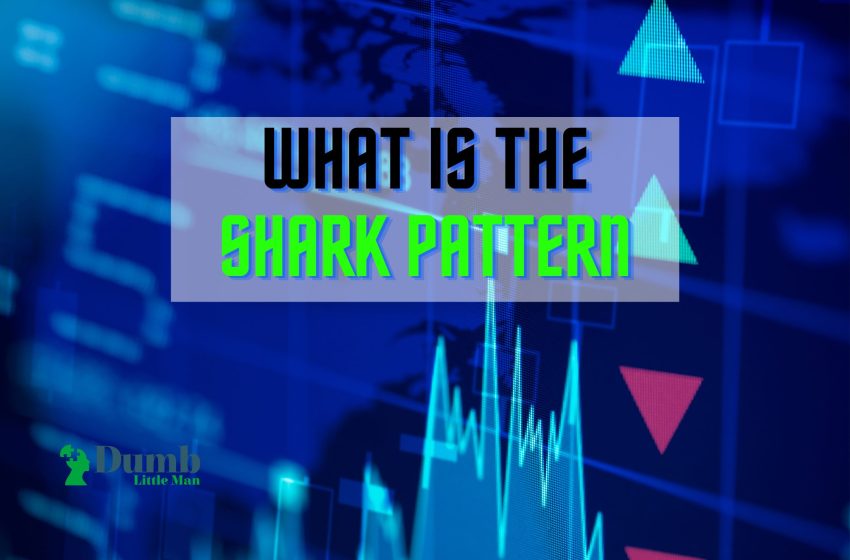 What Is The Shark Pattern – An Expert’s Take 2023