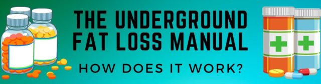 the underground fat loss manual review