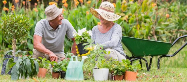 How Can I Turn Gardening Into A Workout