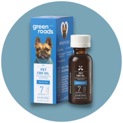 CBD Drops for Medium Dogs