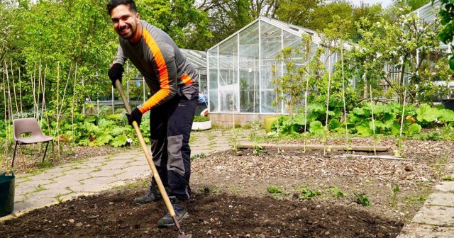 Ways To Make Your Gardening More Vigorous