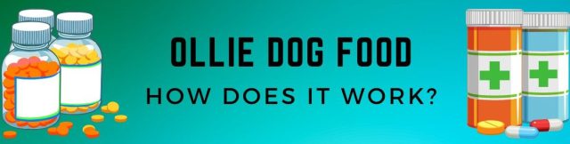 ollie pet food reviews