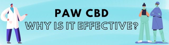 Paw CBD reviews