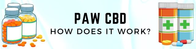 Paw CBD reviews