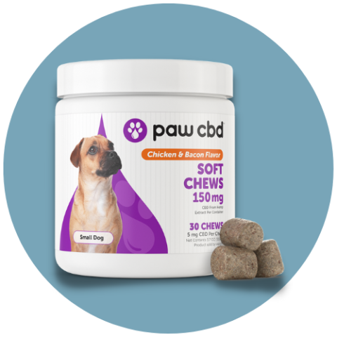 Pet CBD Soft Chews For Dogs 