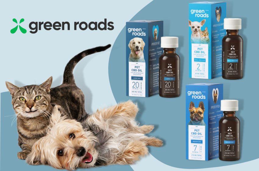  Green Roads Pet CBD Oil Reviews 2023: Does it Really Work?