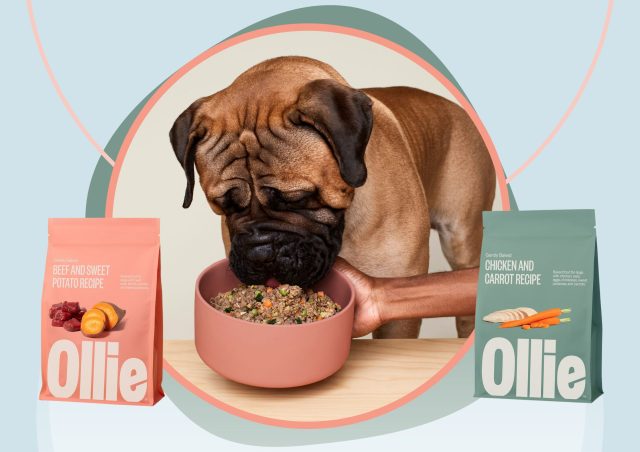 ollie pet food reviews