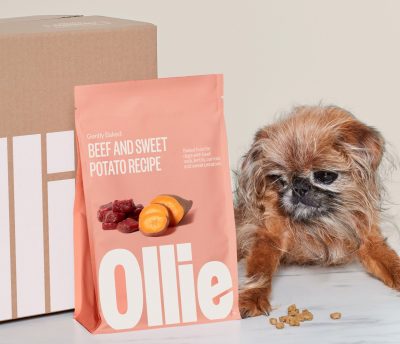ollie pet food reviews