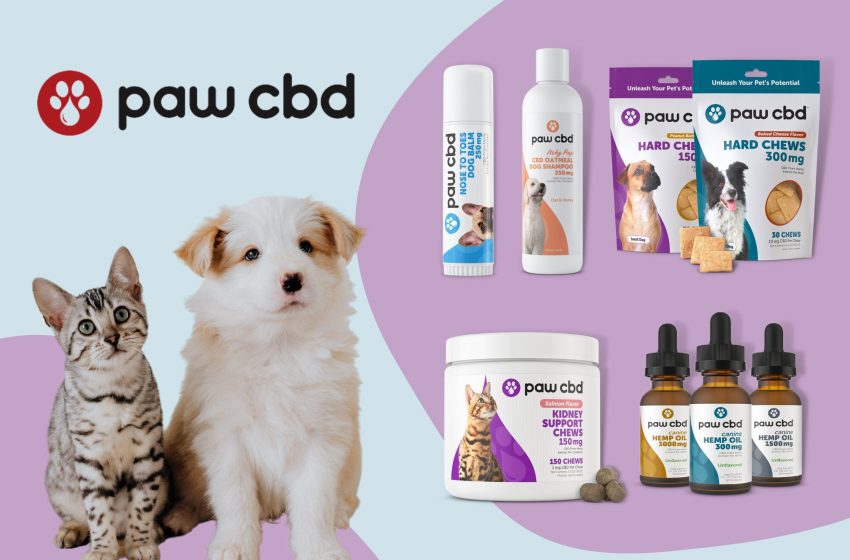  Paw CBD Reviews 2023: Does it Really Work?