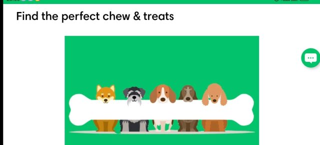 Happy Town Pets