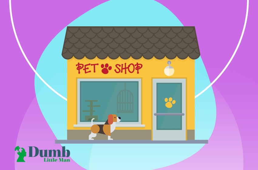  5 Best Pet Shop in Singapore 2023