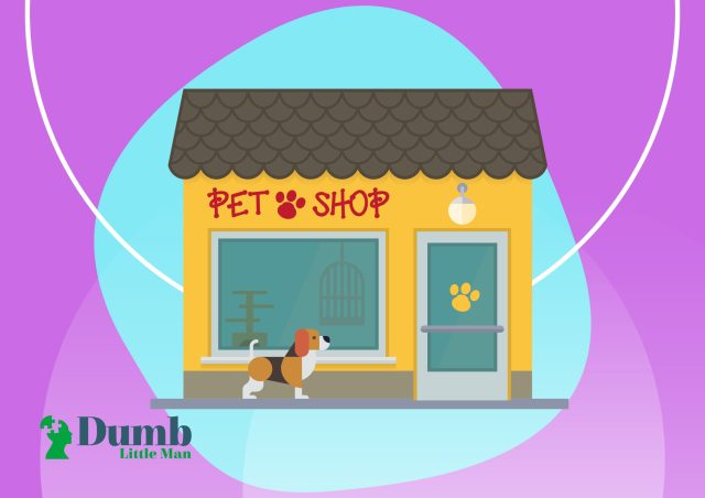 Top 5 Best Pet Shop Singapore