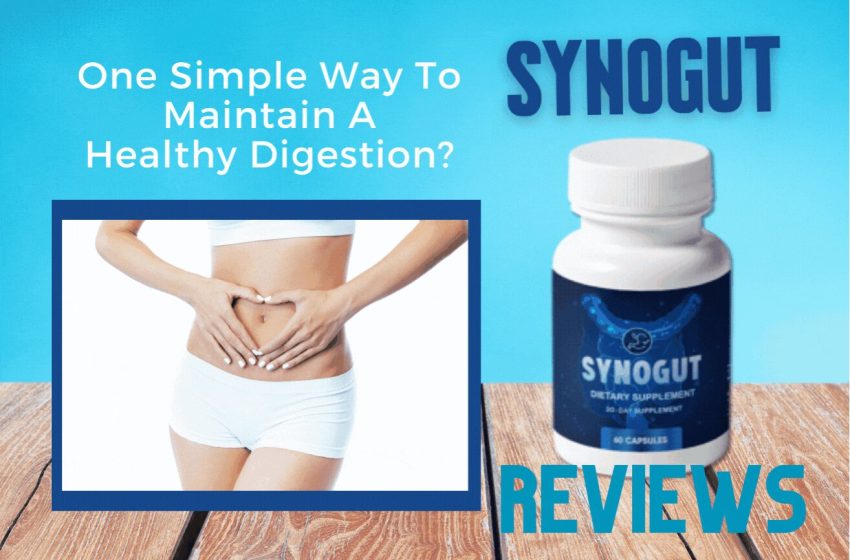  SynoGut Reviews: Does it Really Work?