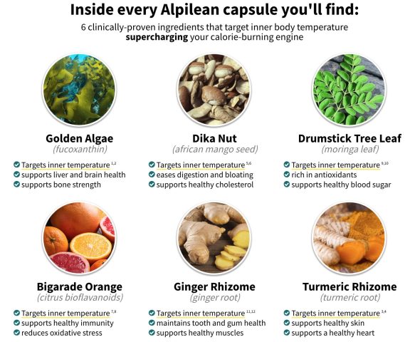 alpilean ingredients