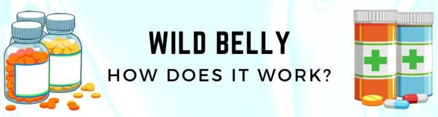 Wild Belly reviews