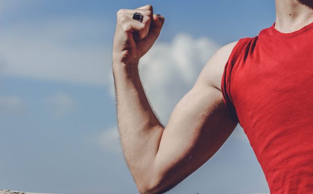 how long does it take to build muscle