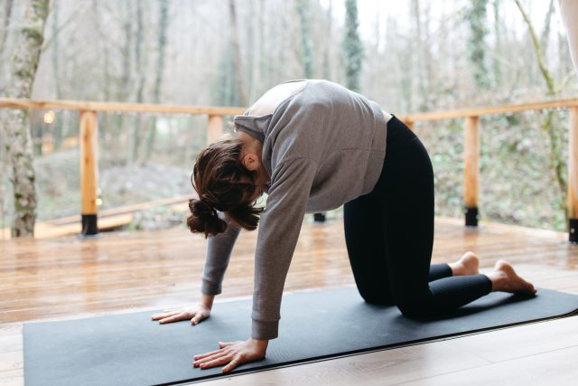 lower back pain stretches