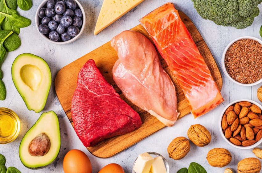 high protein low carb