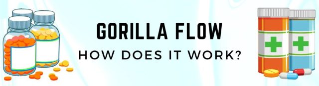 Gorilla Flow reviews