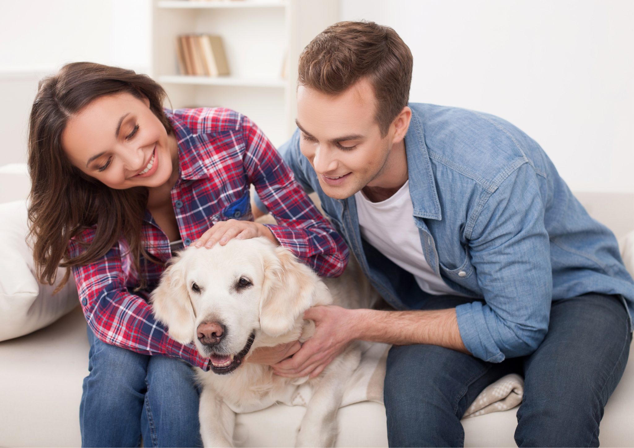 View of The Impact of Pet Ownership on Relationships: Strengthening Bonds and ...
