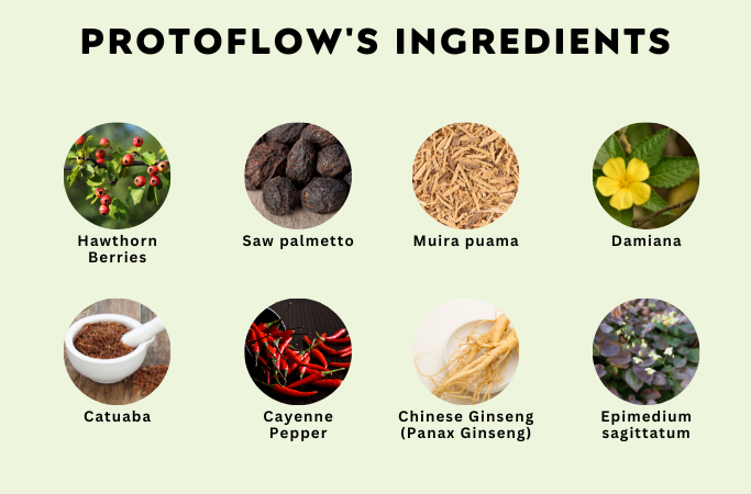 ProtoFlow Reviews Ingredients