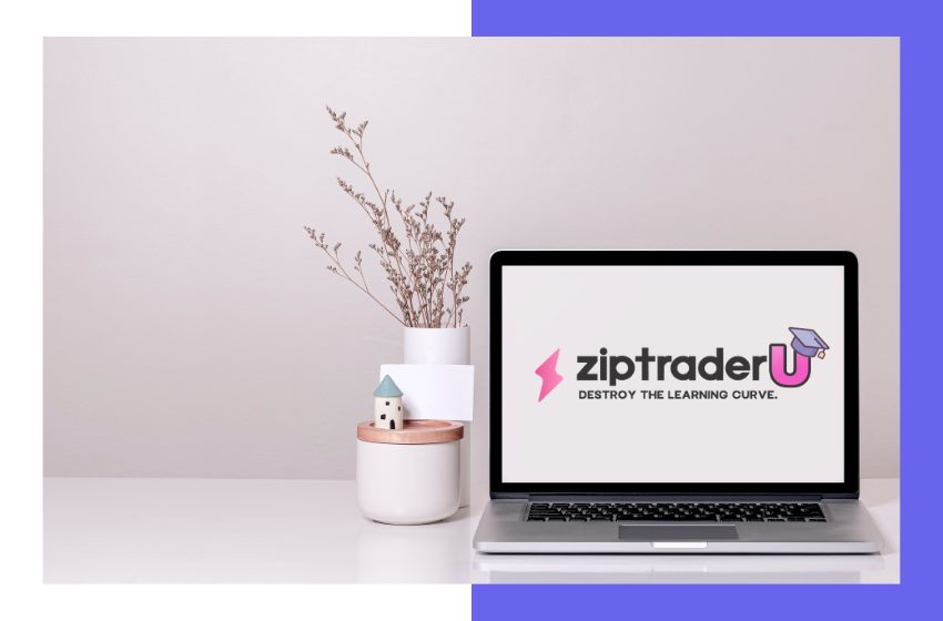 ZipTraderU Review 2023 by Dumb Little Man