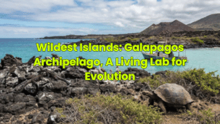 Wildest Islands: Galapagos Archipelago, A Living Lab for Evolution