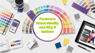 Pantone’s Brand Identity and Why It Matters