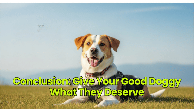 Conclusion: Give Your Good Doggy What They Deserve