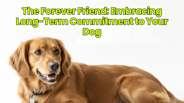 The Forever Friend: Embracing Long-Term Commitment to Your Dog