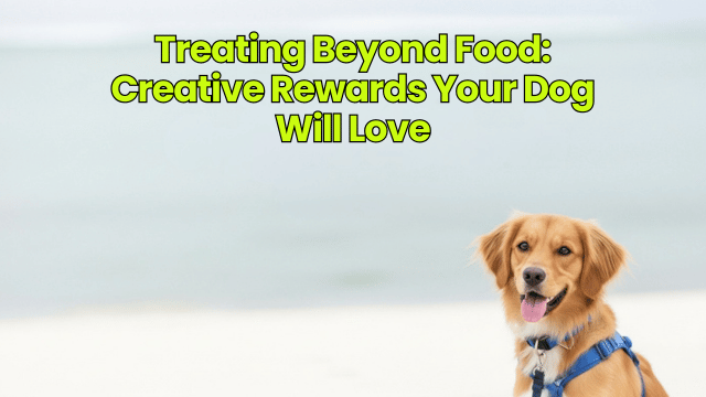 Treating Beyond Food: Creative Rewards Your Dog Will Love