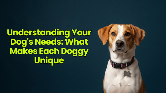 Understanding Your Dog's Needs: What Makes Each Doggy Unique