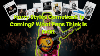 Harry Styles Comeback Is Coming? What Fans Think Is Next