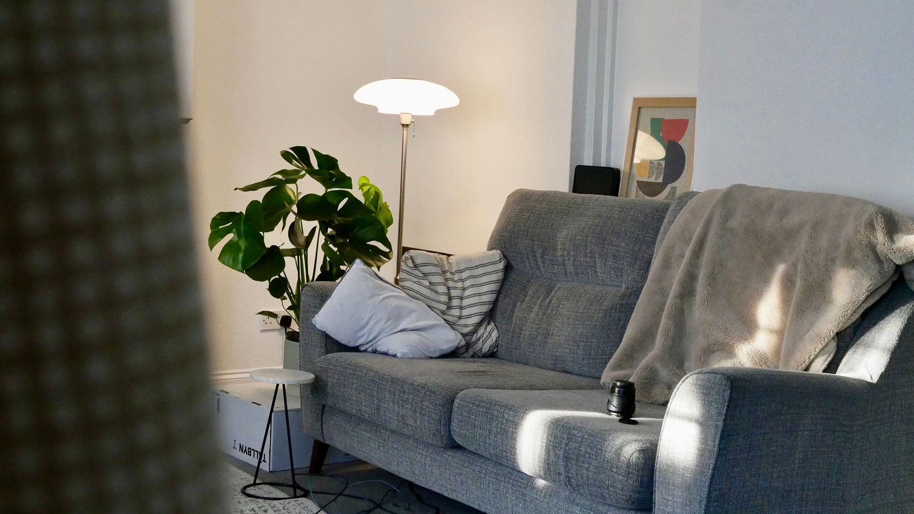 A cozy living room featuring a grey sofa, floor lamp, and indoor plant bathed in morning sun.