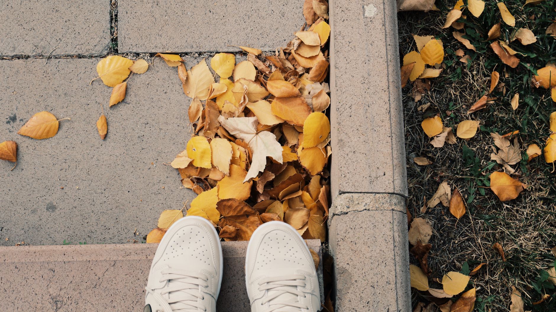 White sneakers standing on a sidewalk next to colorful autumn leaves.