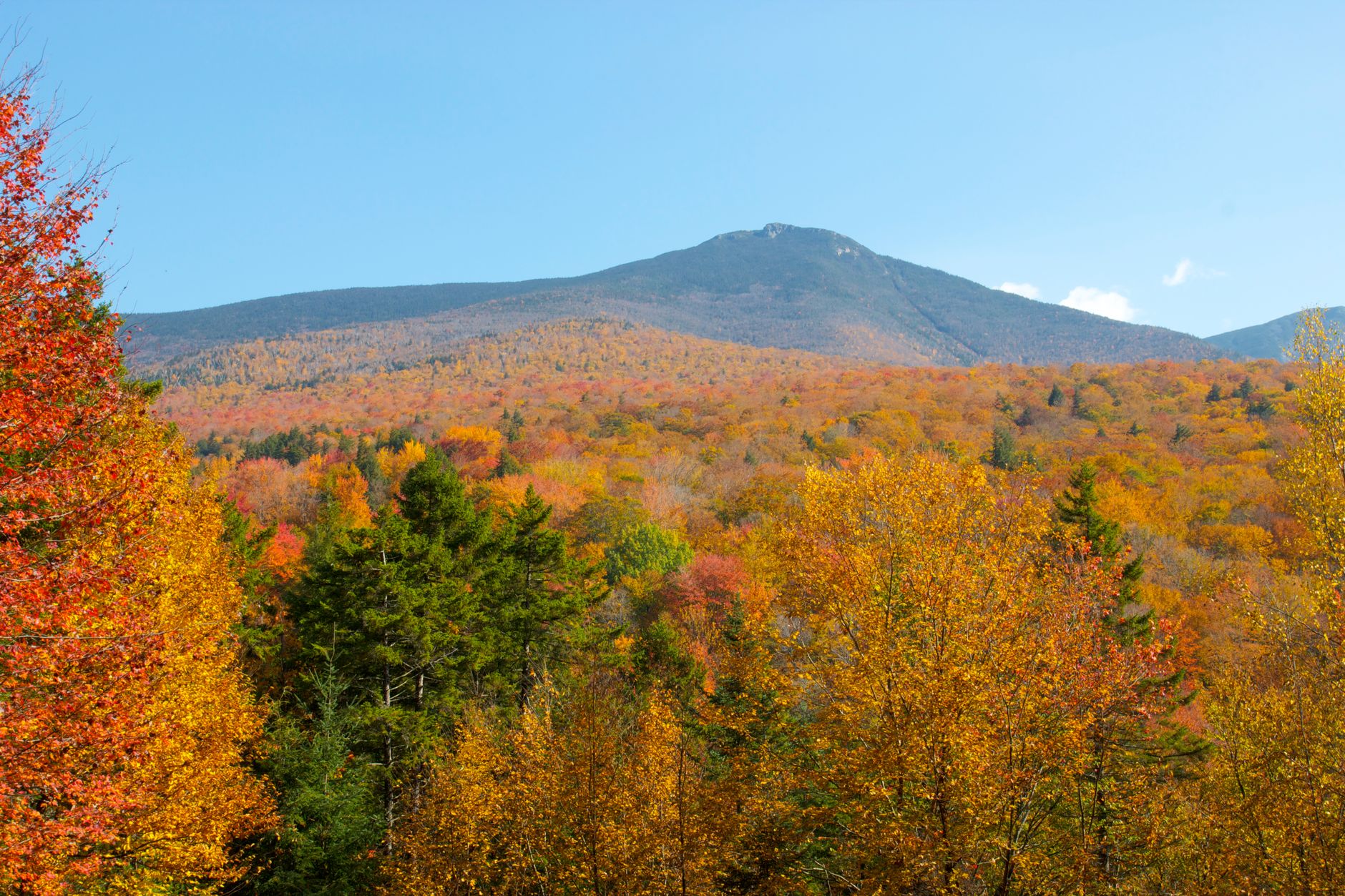 Vibrant autumn trees and a majestic mountain under a clear blue sky.