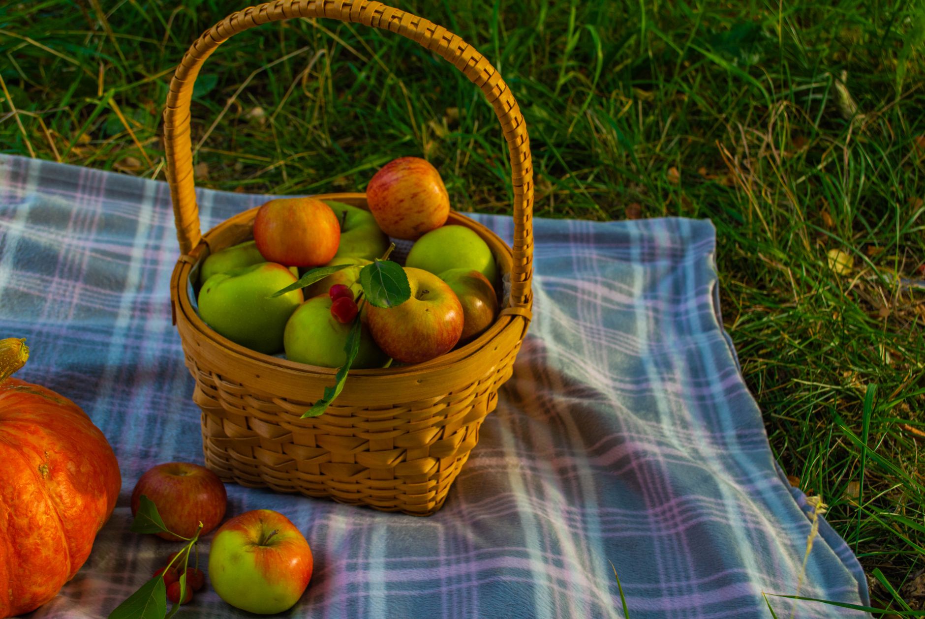 Basket of apples on a plaid blanket with pumpkin in a grassy field, embodying autumn vibes.