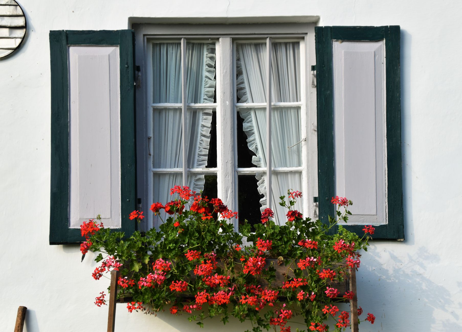 A picturesque window with lush red geranium flowers in a rustic setting, perfect for seasonal content.