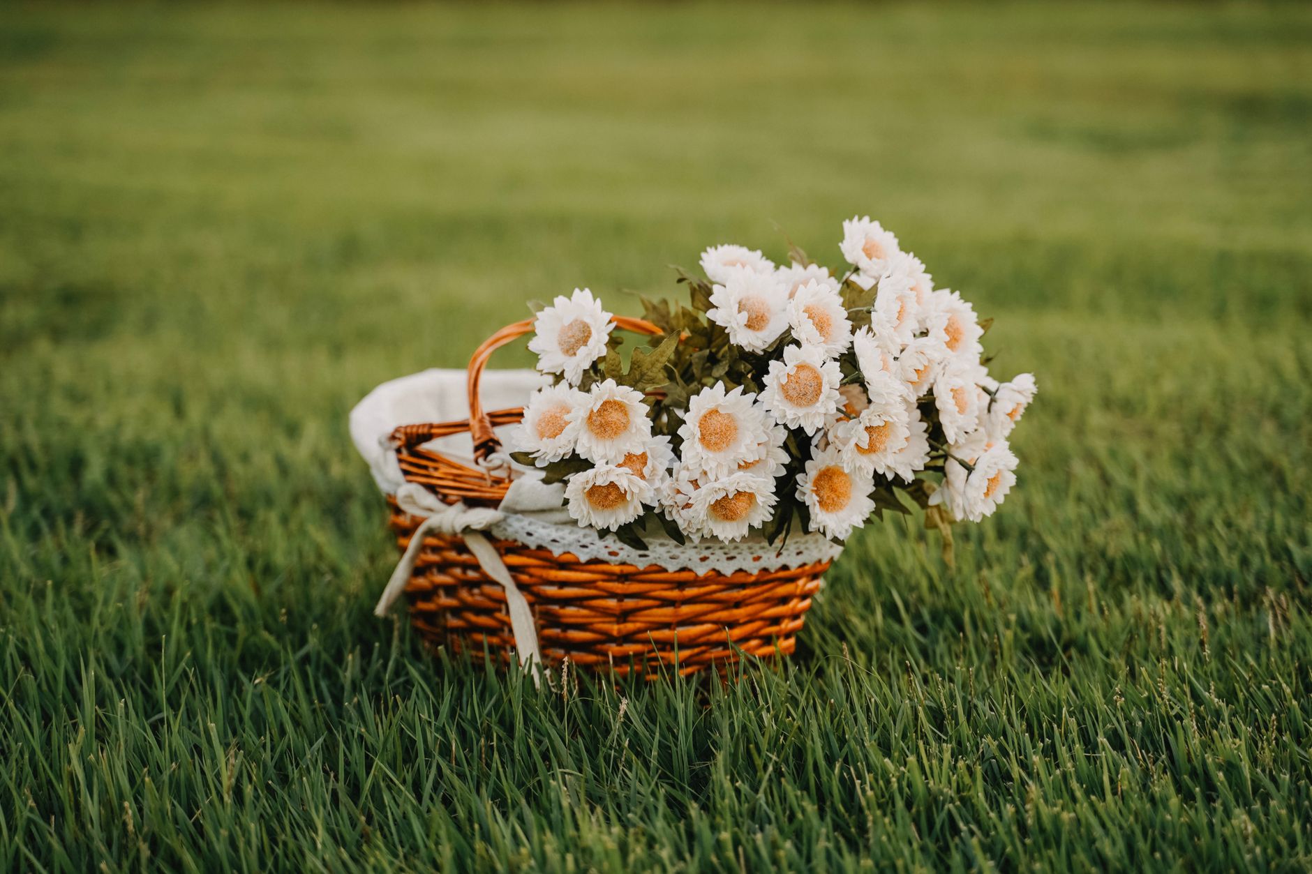 A wicker basket filled with white daisies sits on lush green grass, exuding rustic charm and serenity.