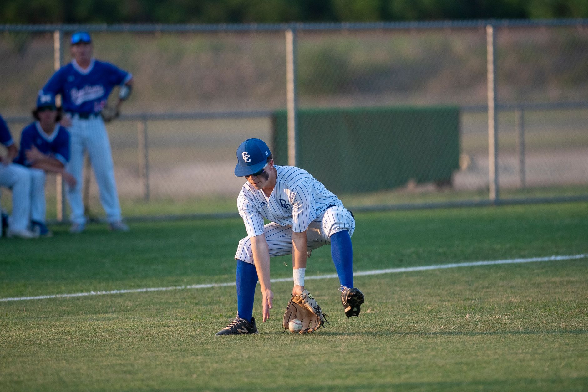 Young baseball player in action fielding a ground ball on a sunny day.