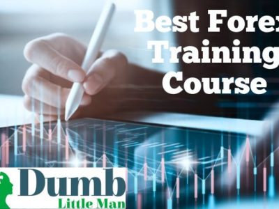 Best Investment Newsletter (16)
