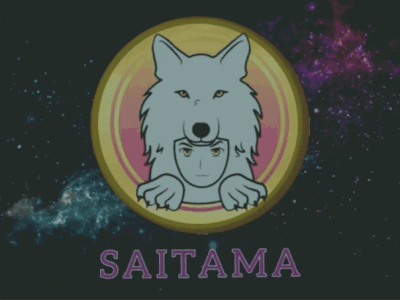 How to Buy Saitama Inu